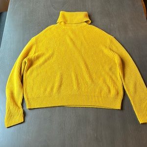 Sanctuary long sleeve knit turtleneck